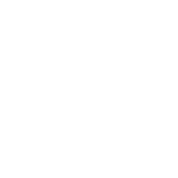 Logo of v0